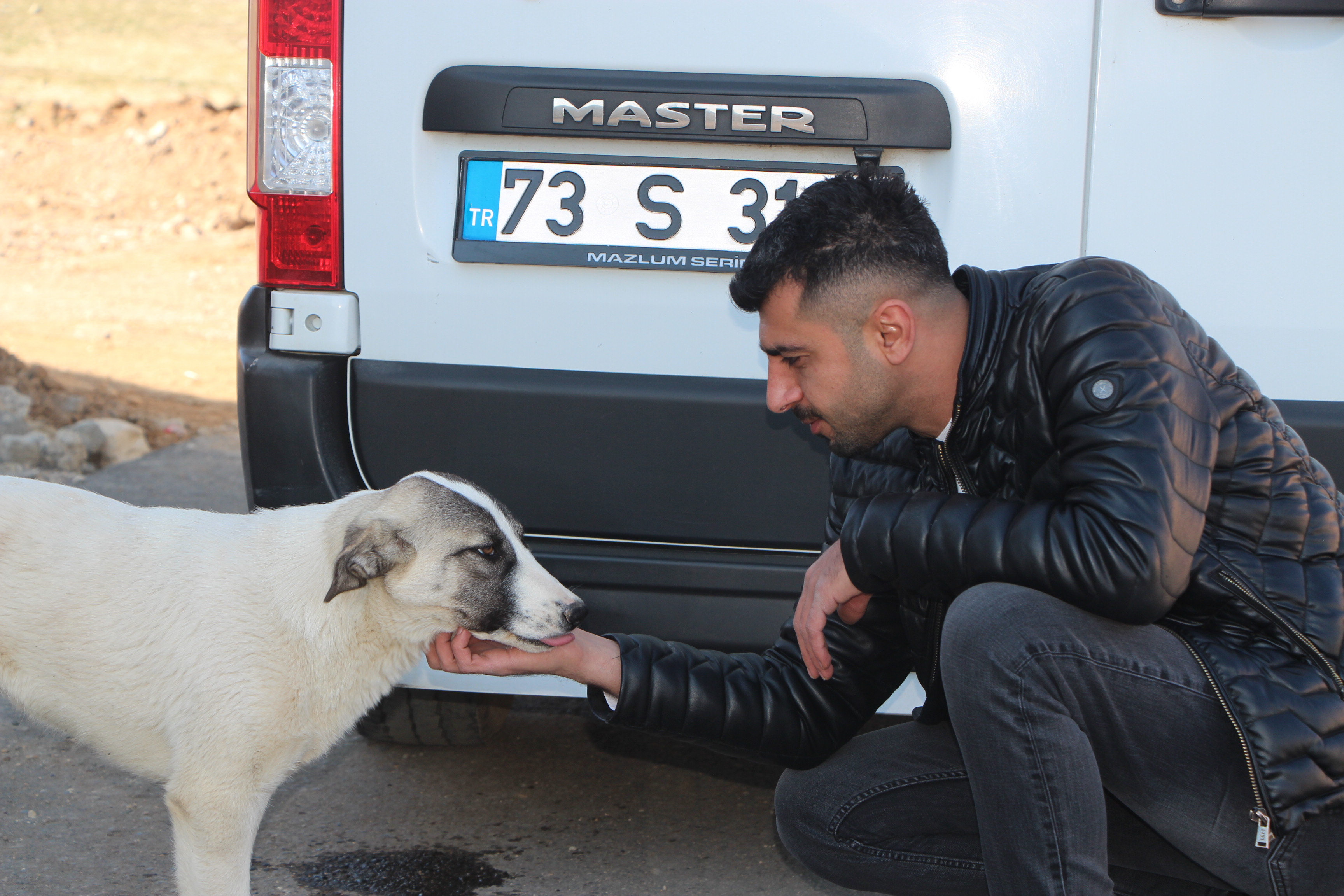 Okul Servisi Şoförü, 13 Yıldır Sokak Sokak Gezip Kedi ve Köpek Besliyor