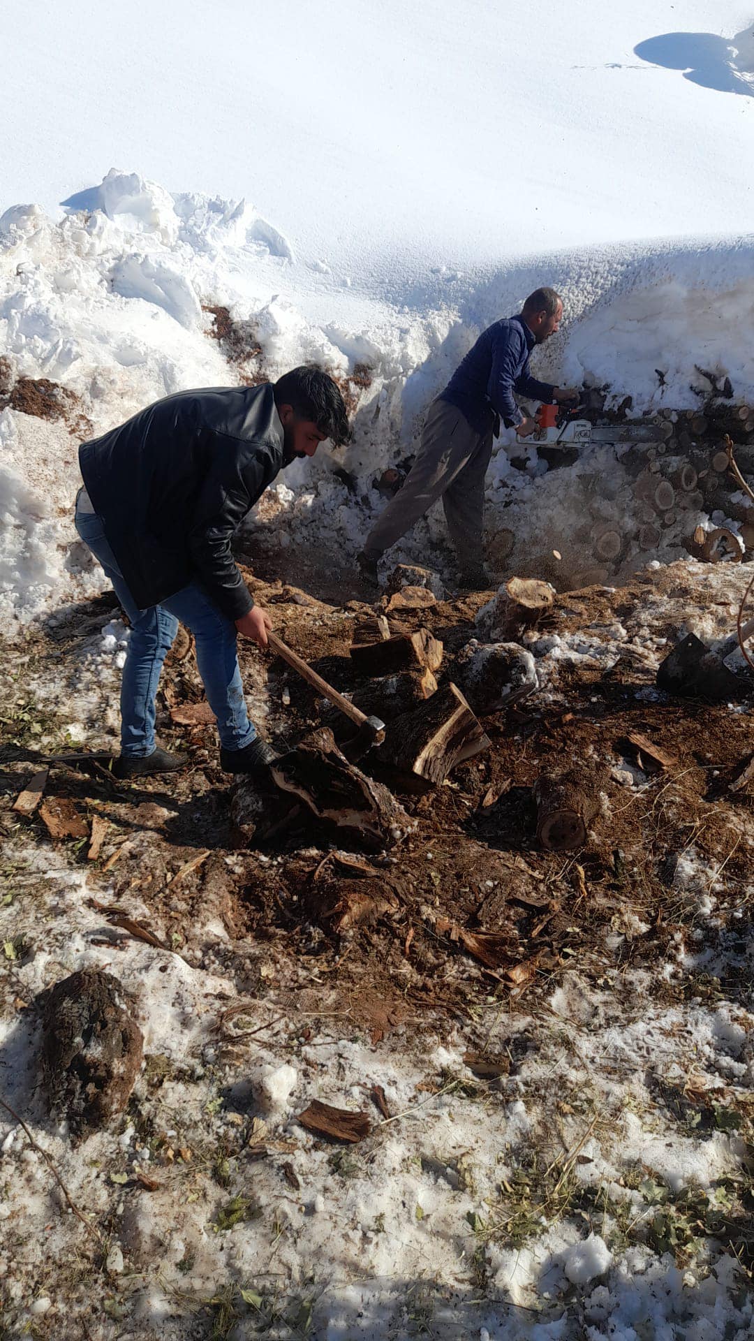 Şırnak’tan Deprem Bölgesine Yardım Seferberliği Sürüyor