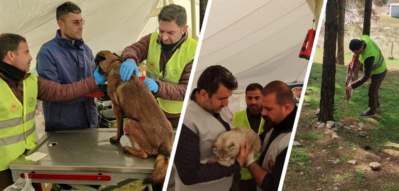 Tarım Ve Orman Bakanlığı, Deprem Bölgesindeki Can Dostların Da Yardımına Koşuyor