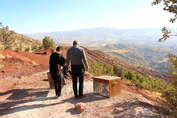 TEDAVİLERİ TAMAMLANAN KARTAL, ŞAHİN VE KERKENEZ DOĞAYA SALINDI