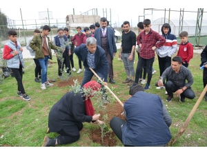 Silopi'de öğrenciler yararına ağaç hibe edildi