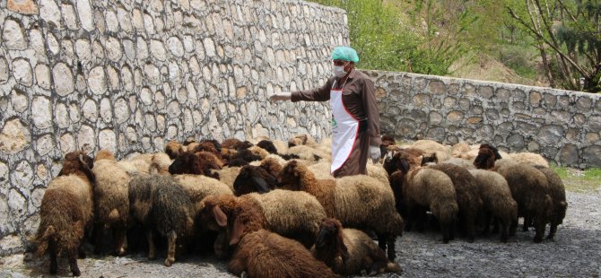 ŞIRNAK'TA İHTİYAÇ SAHİBİ AİLELERE RAMAZAN AYI BOYUNCA 8 TON ET DAĞITILACAK