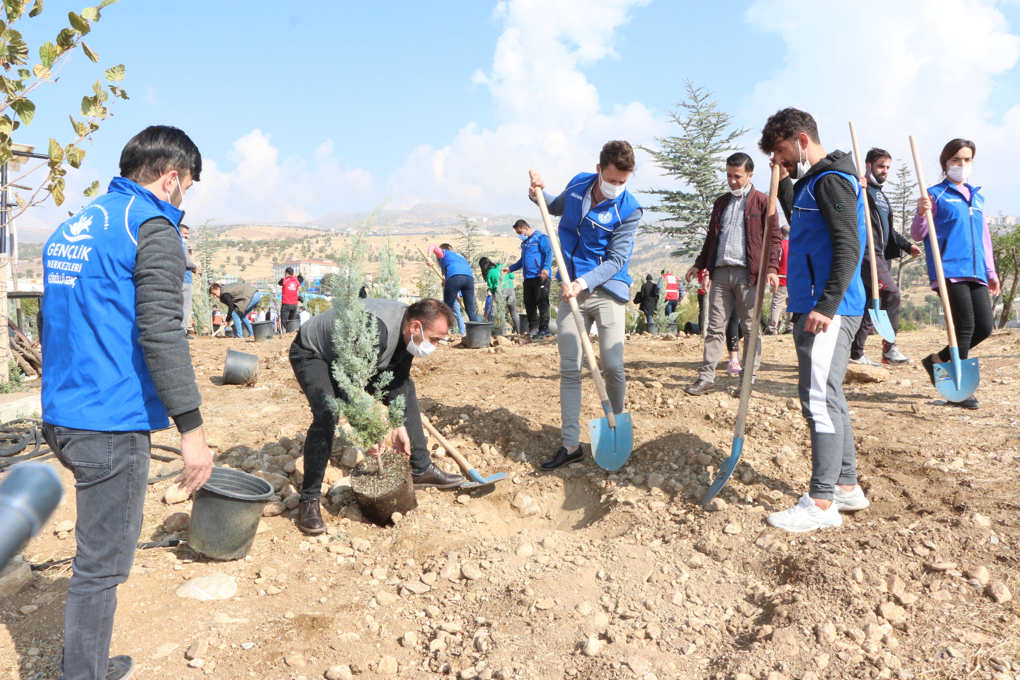 Şırnak'ta 'Geleceğe Nefes'le 68 bin fidan toprakla buluştu
