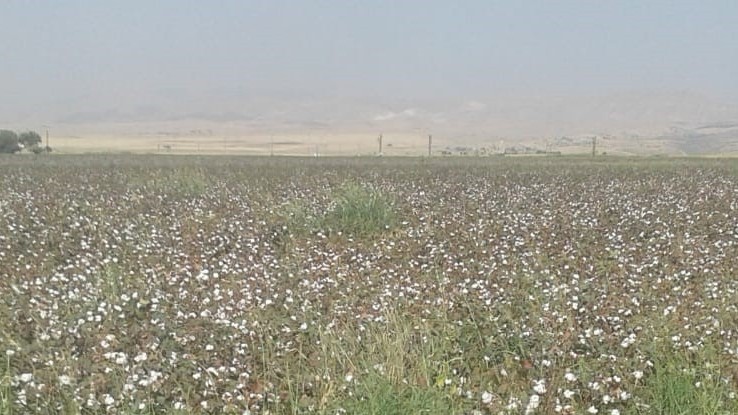 ŞIRNAK’TA 25 BİN DEKAR TARIM ARAZİSİ SULANDI