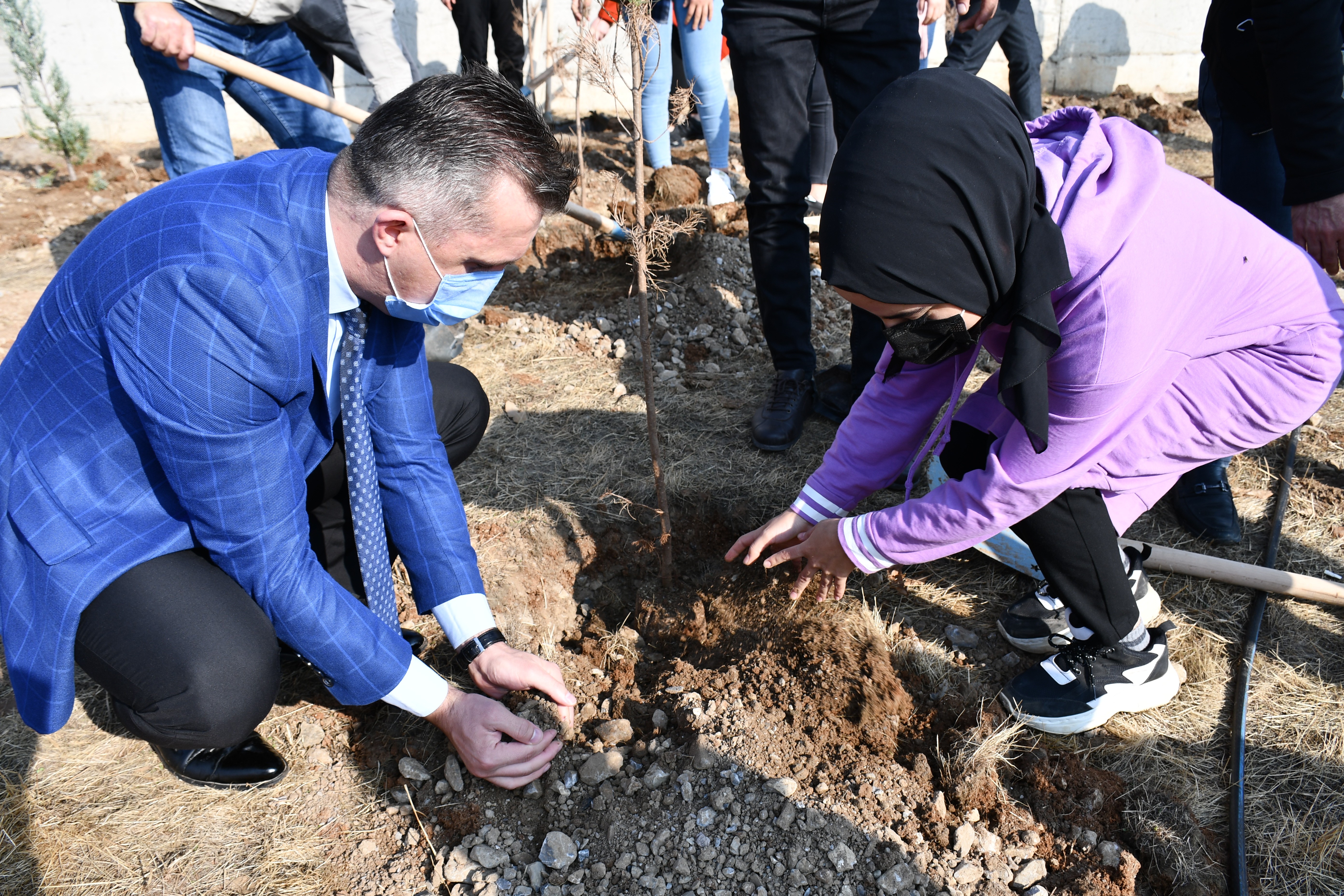 TERÖRİSTLERİN YAKTIĞI ORMANLAR YENİDEN HAYAT BULUYOR