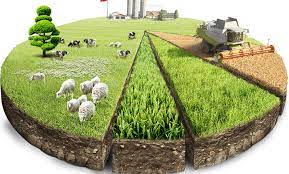 Tarıma Dayalı Ekonomik Yatırımlar 2023 Yılı Proje Başvuru Sonuçları Açıklandı