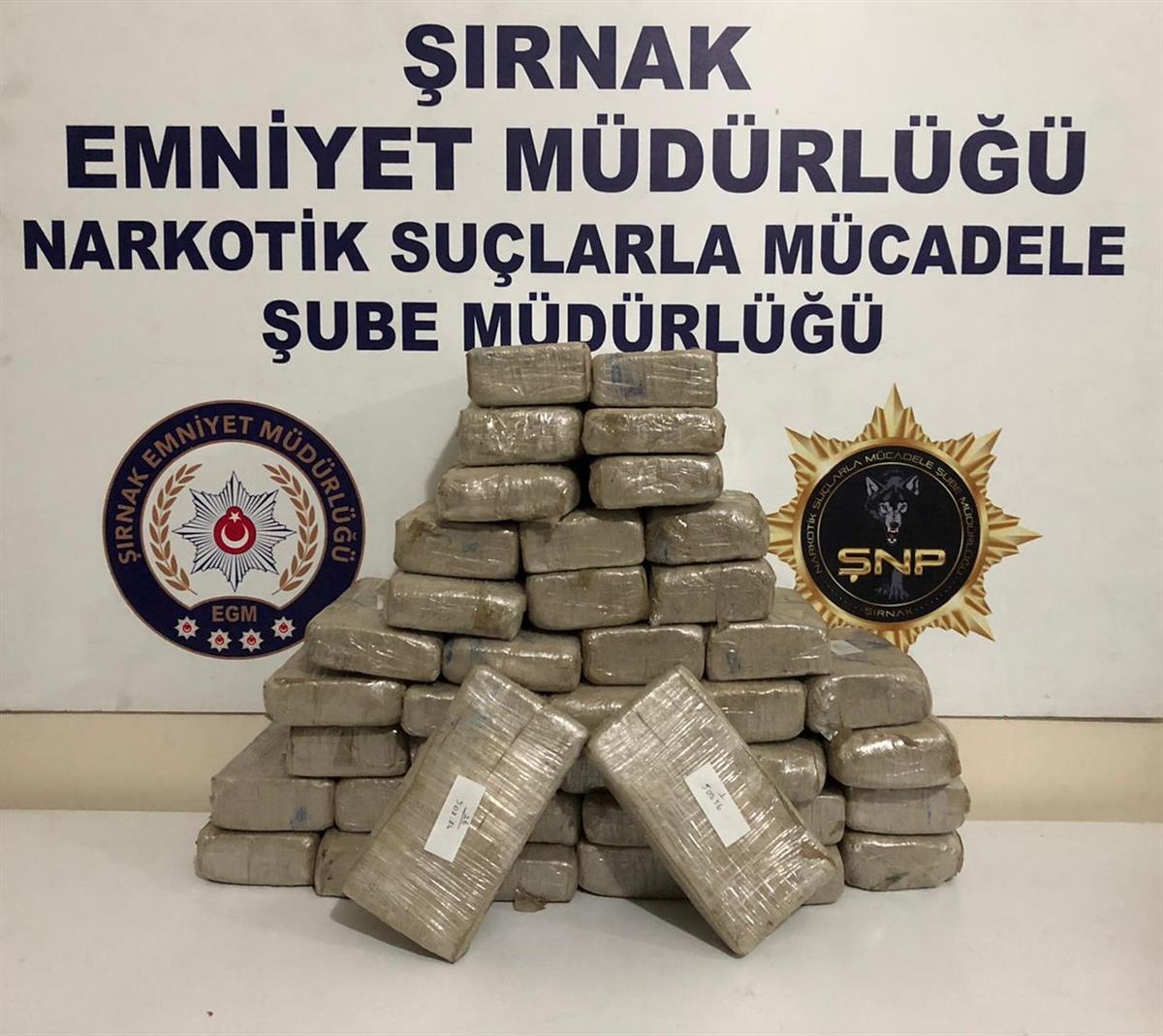 Şırnak'ta, TIR'da 20 kilo eroin bulundu