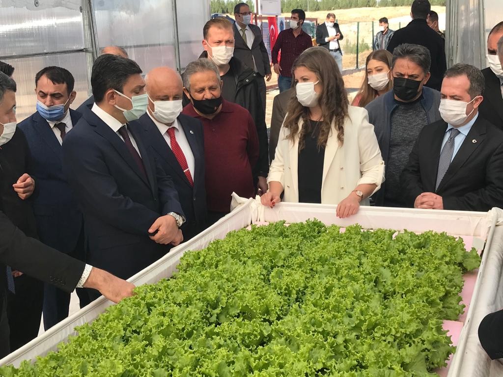 BÖLGENİN İLK ‘TOPRAKSIZ TARIM SERASI’ AÇILDI