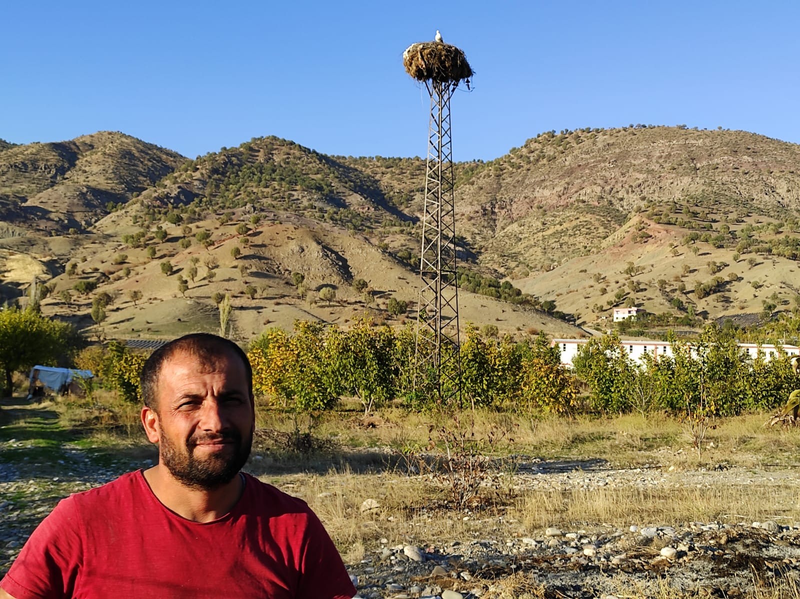 LEYLEKLERLE ARALARINDA BAĞ OLUŞTU, EVİNİ YUVALARINA YAKIN YERE YAPTI