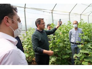 ŞIRNAKLI ÇİFTÇİ İLK MAHSULÜN GELİRİNİ 'BİZ BİZE YETERİZ TÜRKİYEM' KAMPANYASINA BAĞIŞLAYACAK