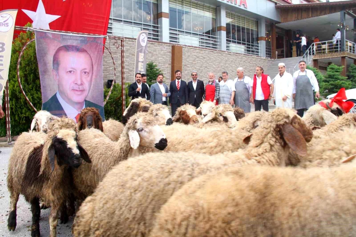 Cumhurbaşkanı Erdoğan'ın Seçim Zaferini 20 Koyun Keserek Kutladı