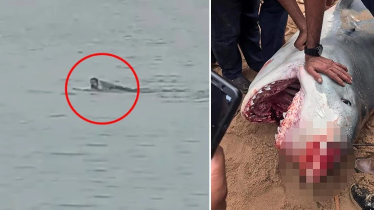 Köpekbalığı Saldırısına Uğrayan Rus Turist Öldü! O Anlar Kamerada