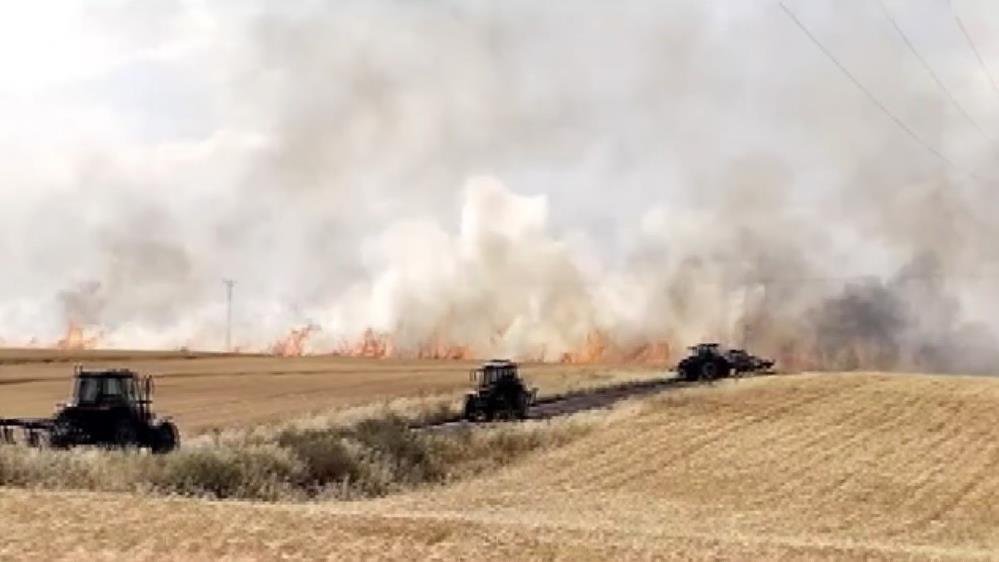Diyarbakır'da Bin Dönüme Yakın Buğday Tarlası Kül Oldu