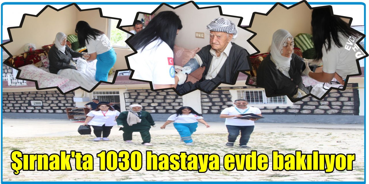 Şırnak'ta 1030 hastaya evde bakılıyor