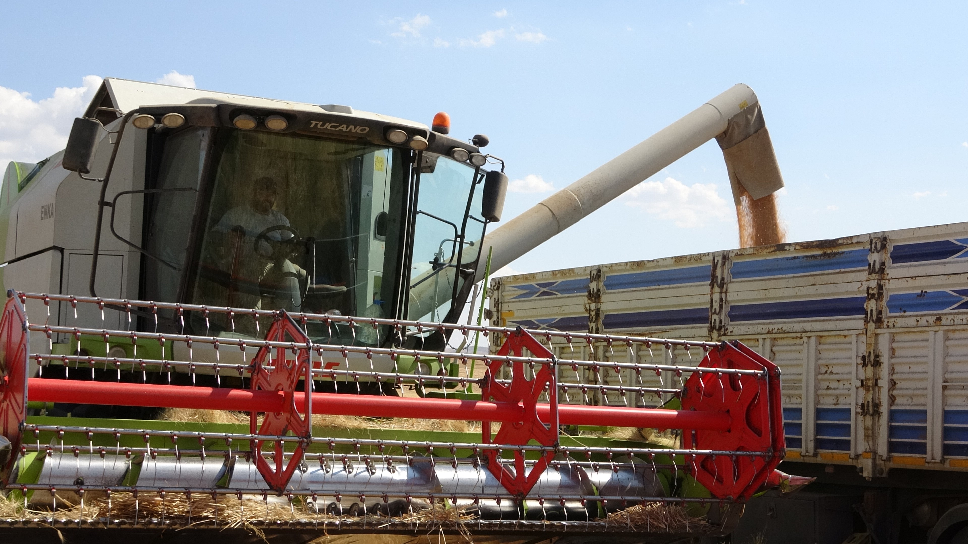 Siirtli Çiftçinin Bu Sene Ki Beklentisi 160 Ton Bin Ton ve Üzeri