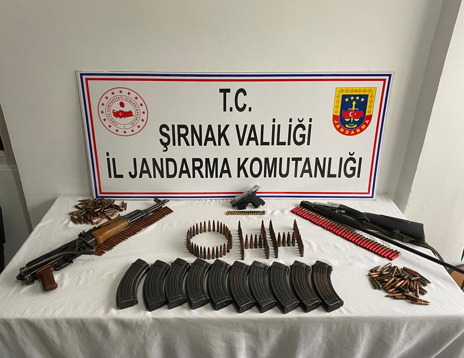 Şırnak'ta silah kaçakçılığı operasyonu: 1 gözaltı
