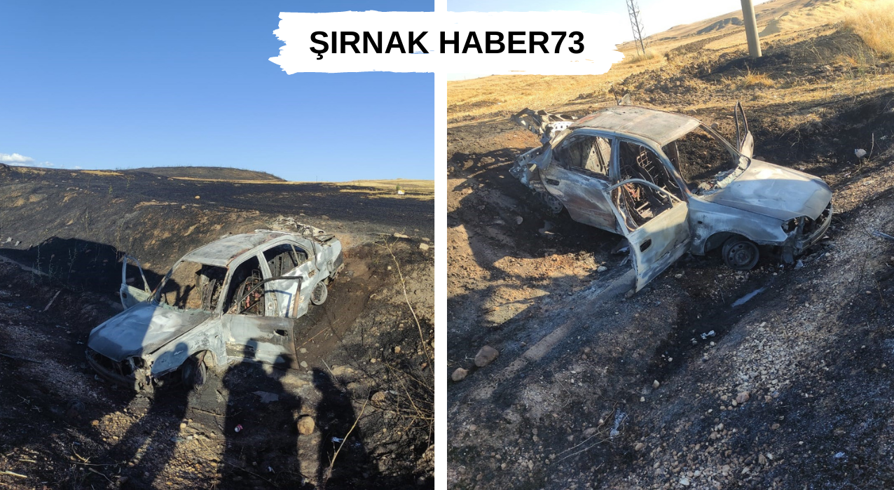 Diyarbakır Yolunda Takla Atan Otomobil Alevlere Teslim Oldu: 3 Yaralı