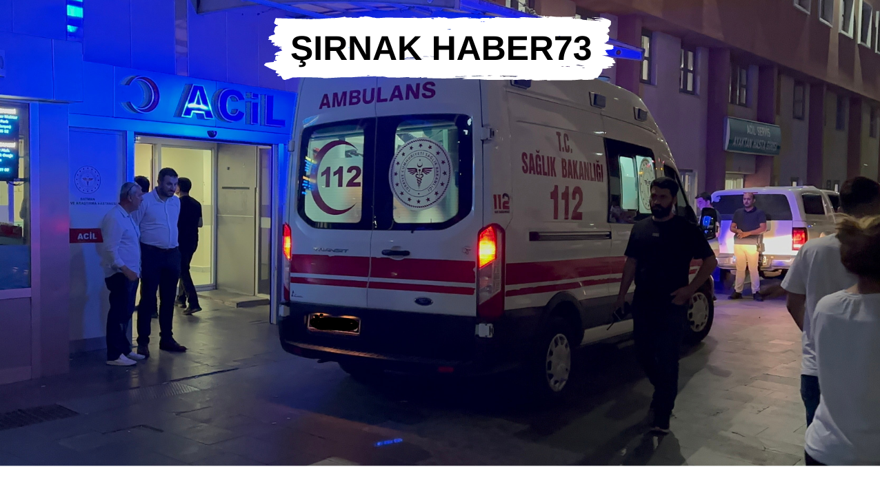 Olaya Giden Yunus Polisleri Kaza Yaptı: 2 Polis Yaralandı