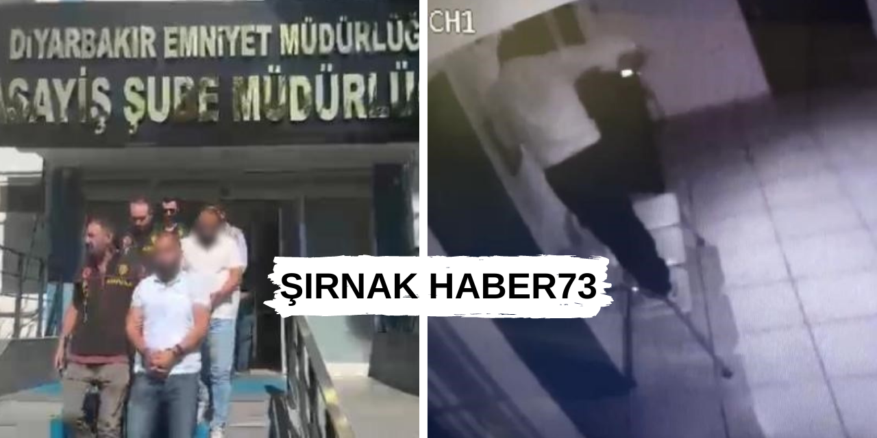 Diyarbakır'da 15 Kişi Yakalandı