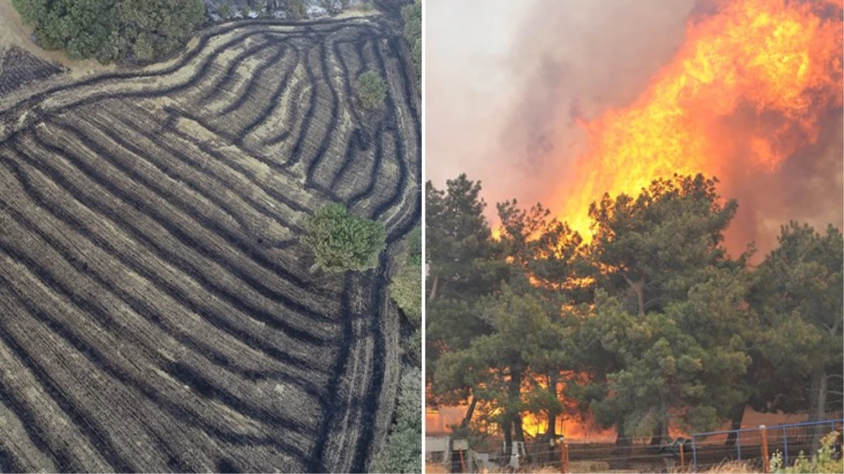 37 Saattir Orman Yangını Sürüyor