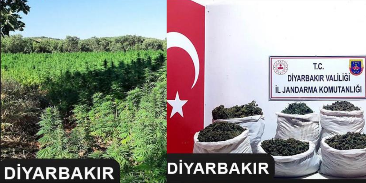 Diyarbakır'da  150 Kilo Kubar Esrar Yakalandı