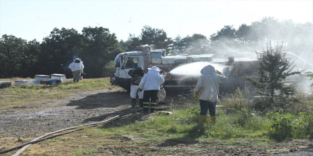 TIR park halindeki arı kovanı yüklü kamyonete çarptı: 4 kişi öldü