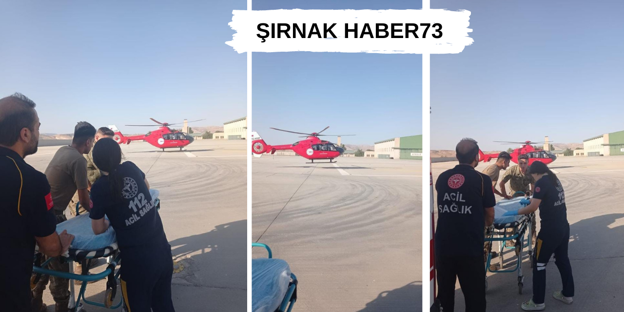 Akrebin Soktuğu Çoban Helikopterle Hastaneye Kaldırıldı