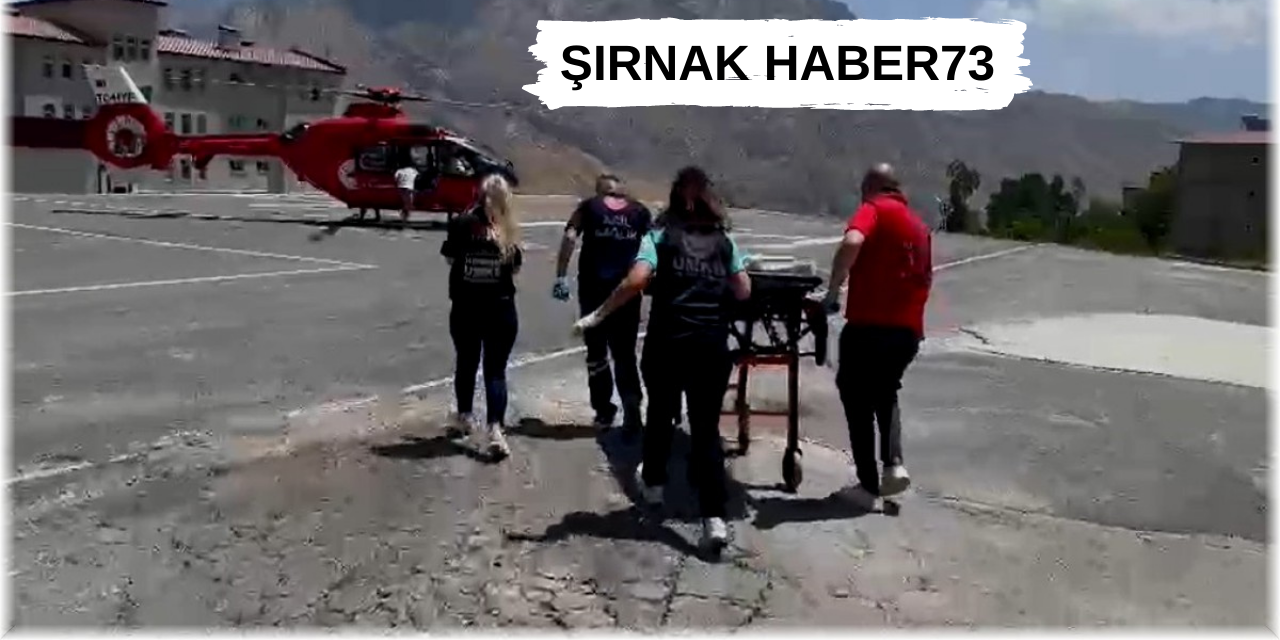 Yılanın Isırdığı Kişi Helikopterle Hastaneye Kaldırıldı