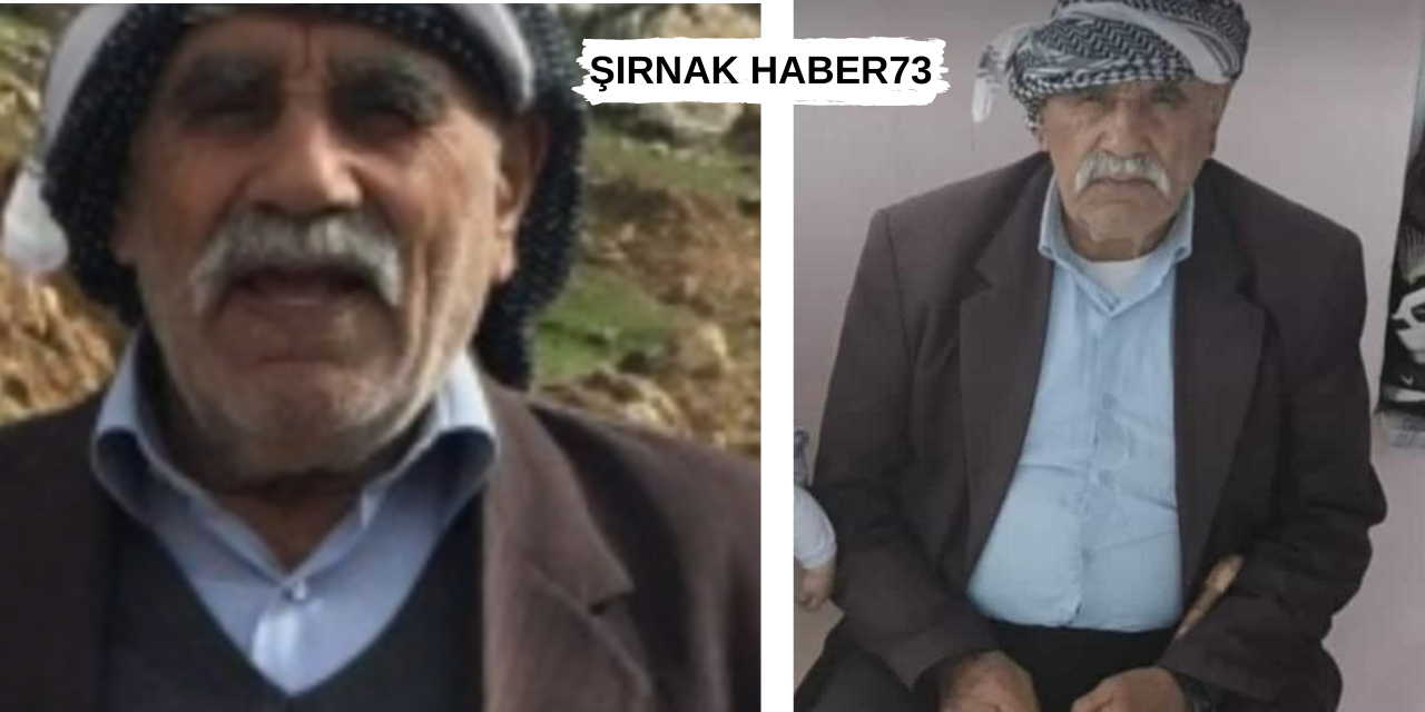 Şırnak'ta Araba Çarpması Sonucu 90 Yaşındaki Adam Öldü