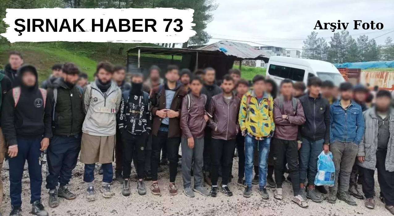 Siirt'te 8 Organizatör ve 286 Göçmen Yakalandı