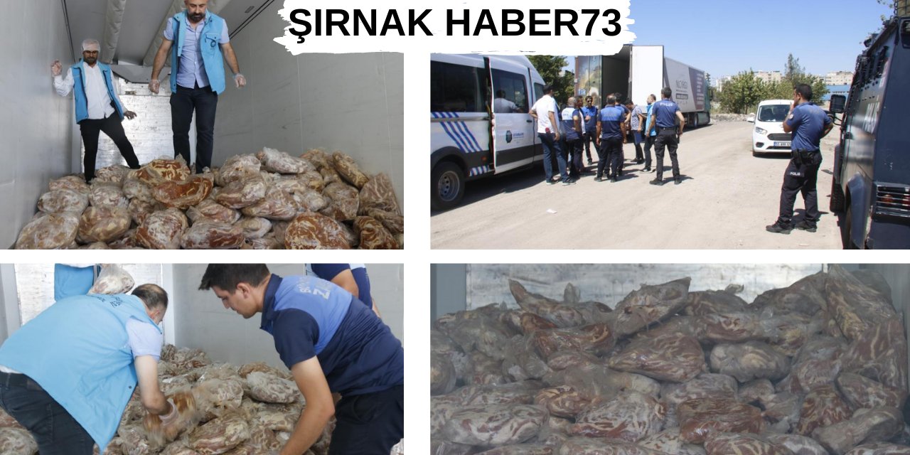 Diyarbakır'da 5 Tona Yakın Kaçak Et ve Sakatat Ele Geçirildi!