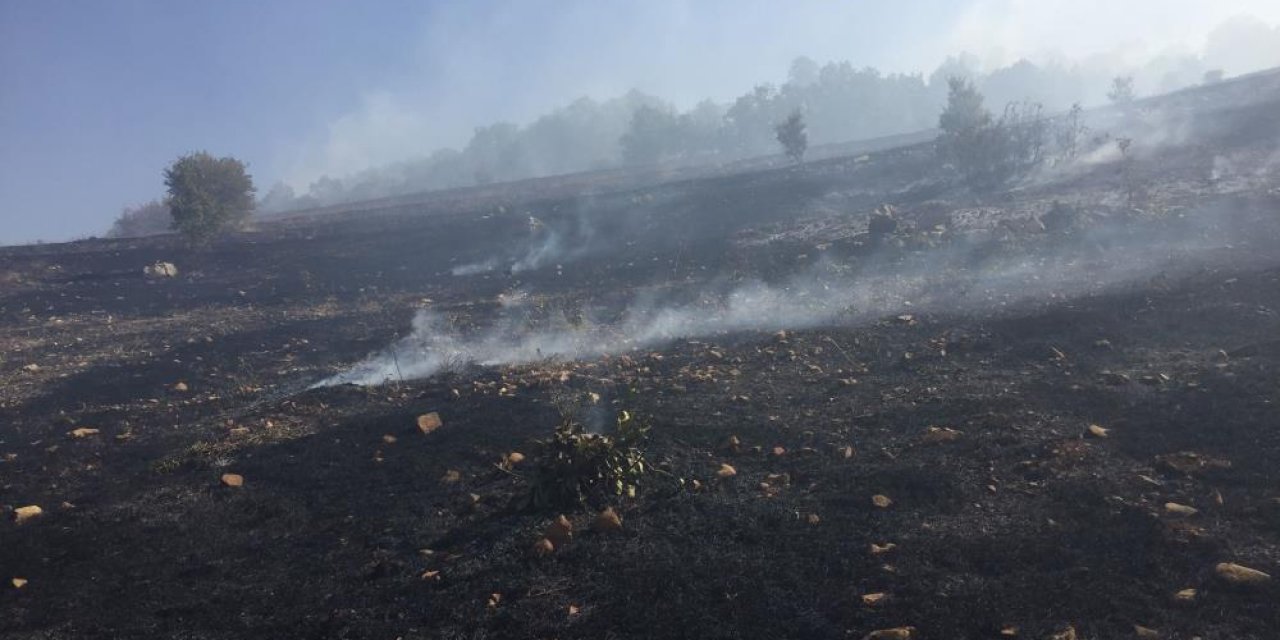 Diyarbakır'daki Yangın Kontrol Altına Alındı