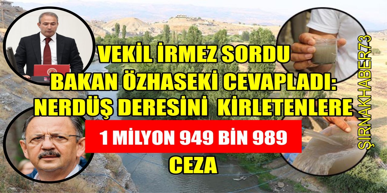 Vekil İrmez Sordu, Bakanlık Açıkladı; Nerdüş’ü Kirletenlere Ceza Yağdı