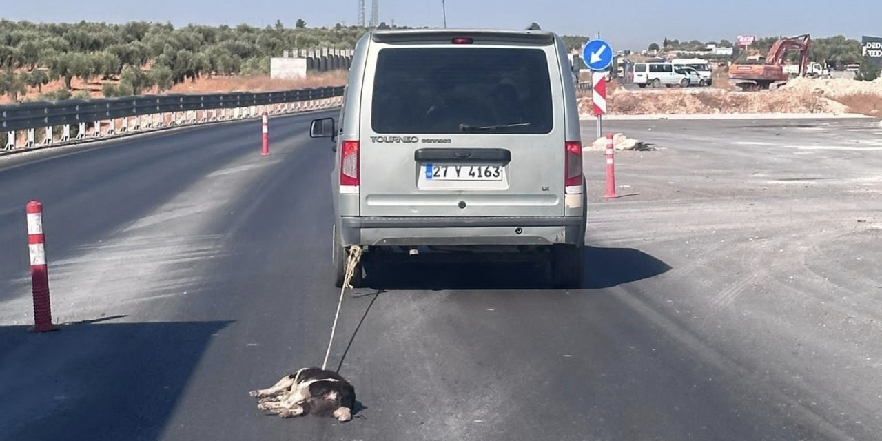 Köpeği aracına bağlayıp sürükledi