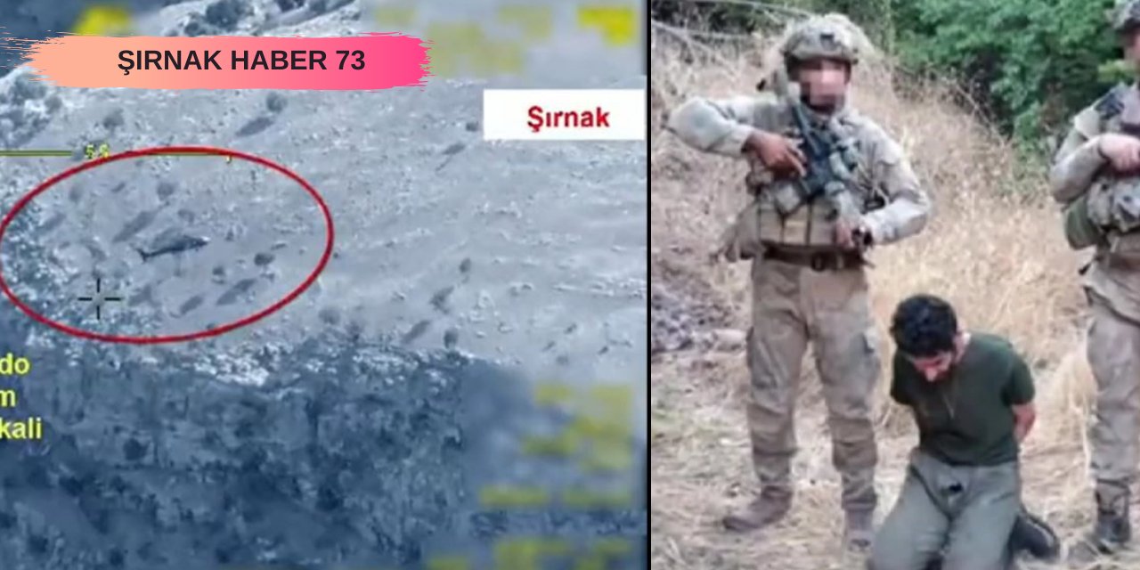 Şırnak'ta 1 PKK'lı Sağ Olarak Ele Geçirildi! Yakalanma Anı Kamerada