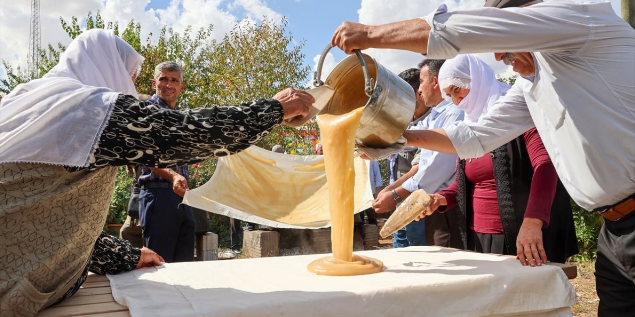 Diyarbakır'da imece usulü bağ bozumu şenliği düzenlendi