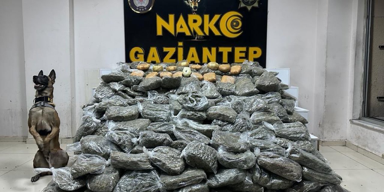 170 Kilogram Skunk Ele Geçirildi