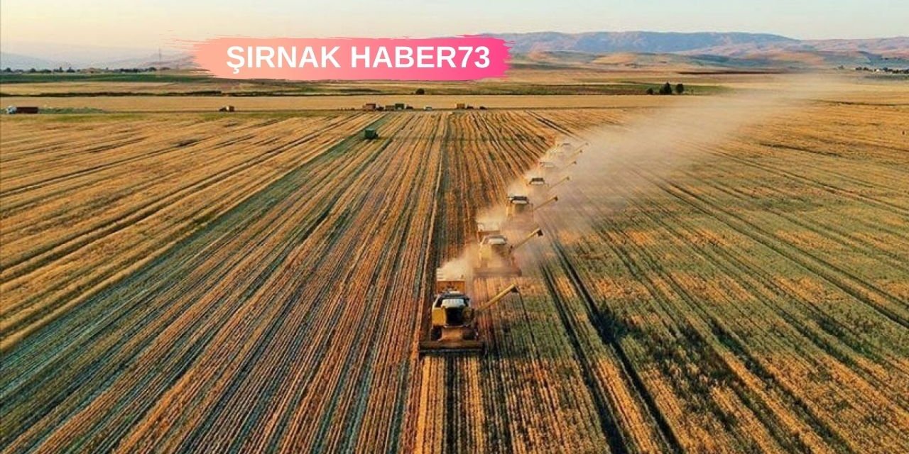 Çiftçilere Müjde! Mazot ve Gübre Desteği Erken Ödenecek!