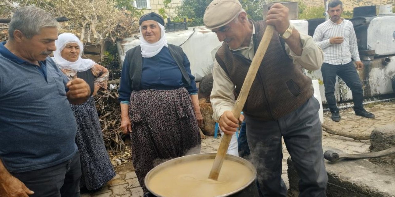 Mardin'de bağ bozumu başladı