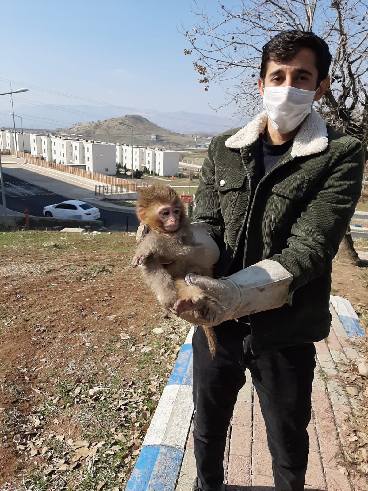 Şırnak'ta yasa dışı yollardan yurda sokulan 4 örümcek maymunu ele geçirildi