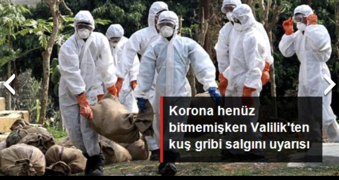 Korona henüz bitmemişken valilik’ten kuş gribi salgını uyarısı