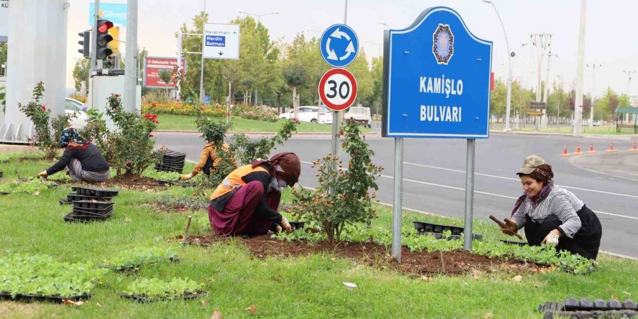 1 Milyon 200 Bin Kışlık Çiçeğin Toprakla Buluşturulması Hedefleniyor