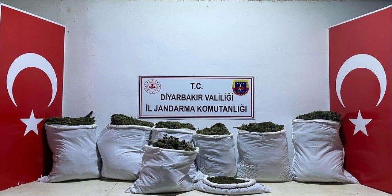 Büyük Uyuşturucu Operasyonu: 543 Kilo Esrar El Geçirildi