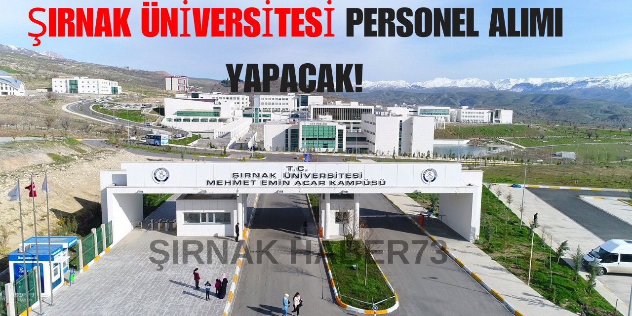 Şırnak Üniversitesi Öğretim Üyesi ve Elemanı Alım İlanı