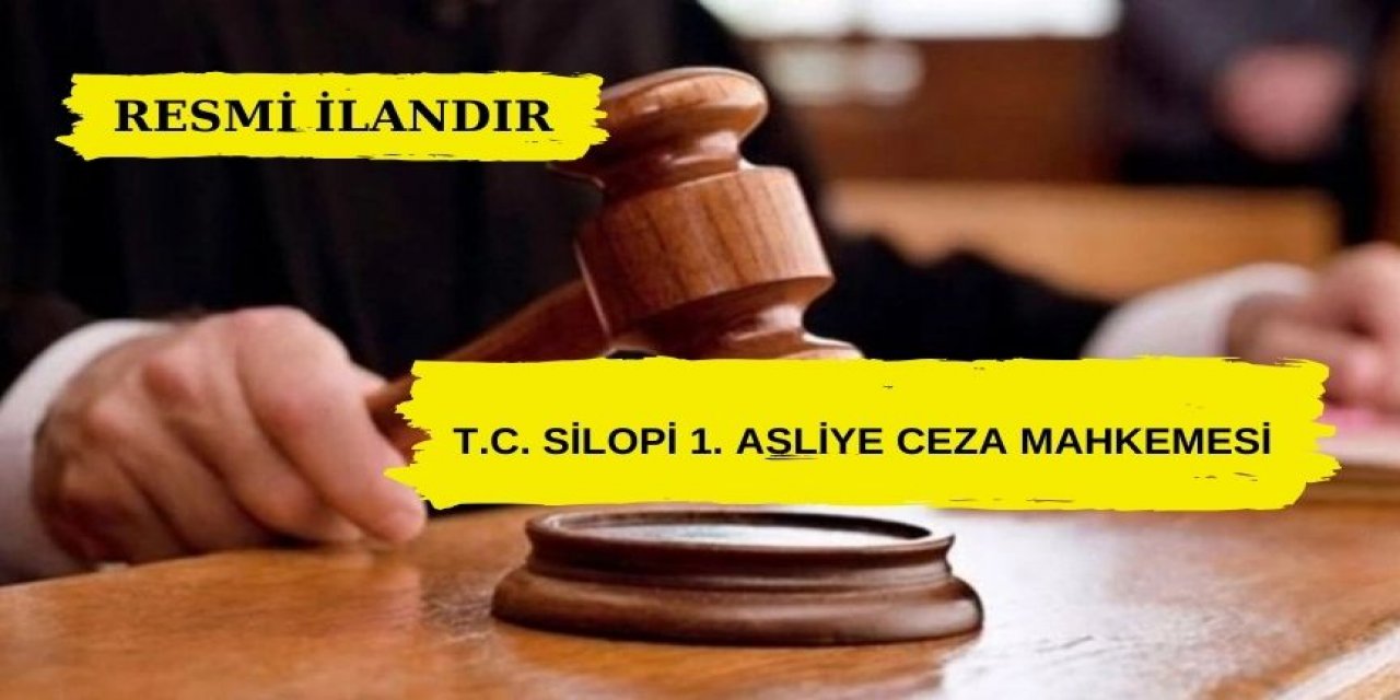 T.C. Silopi 1. Asliye Ceza Mahkemesi