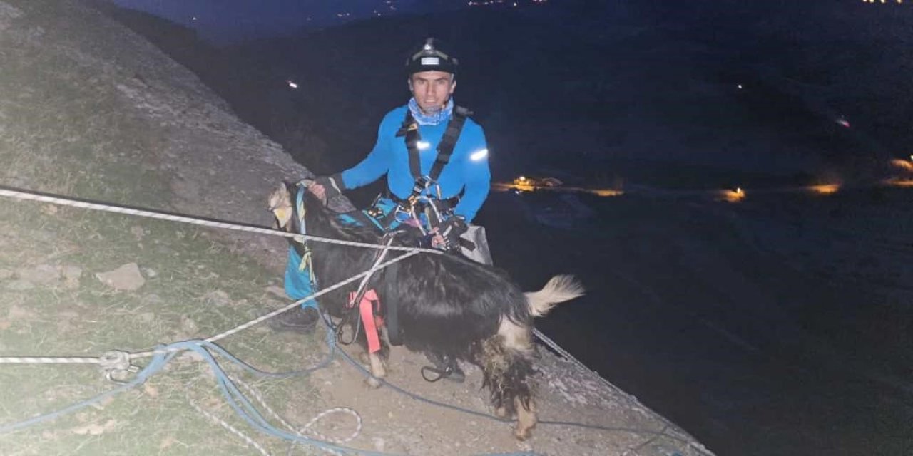 3 gün kayalıklarda mahsur kalan keçi kurtarıldı
