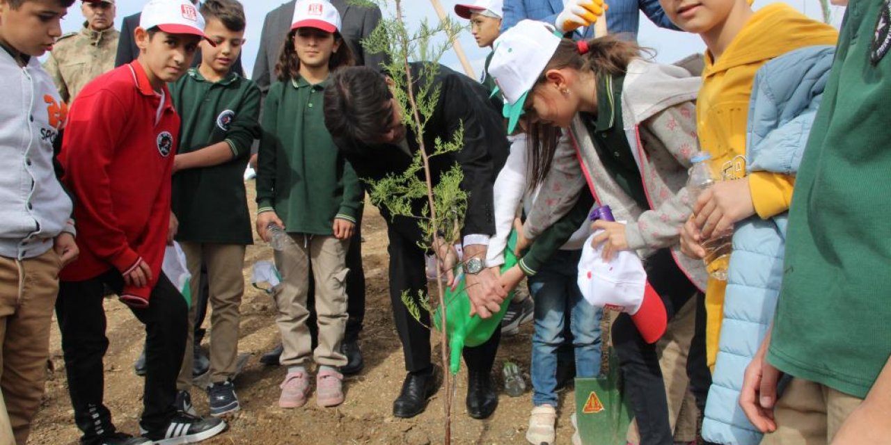 Milli Ağaçlandırma Günü kapsamında Şırnak'ta 250 bin fidan toprakla buluşturulacak