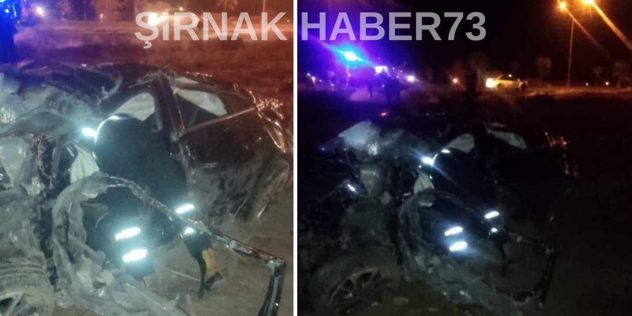 Mardin yolunda kaza yapan sürücü hayatını kaybetti