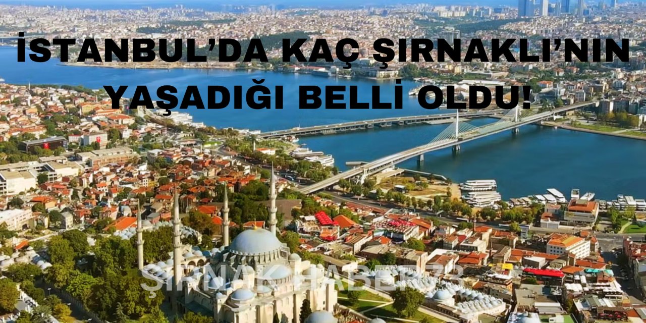 İstanbul'da yaşayan Şırnaklı sayısı belli oldu! İşte şaşırtan rakamlar