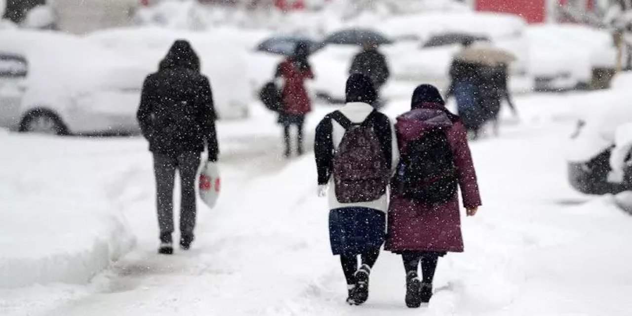 Yoğun Kar Yağışı ve Tipi 3 İlçede Okulları Tatil Etti